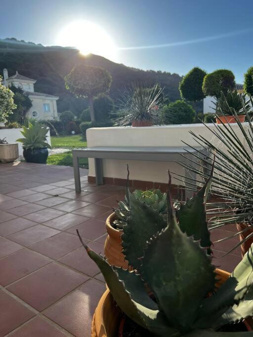 Ruim Appartement, Zonnig Terras, Alhaurin Golf! 阿尔豪林格朗德 外观 照片